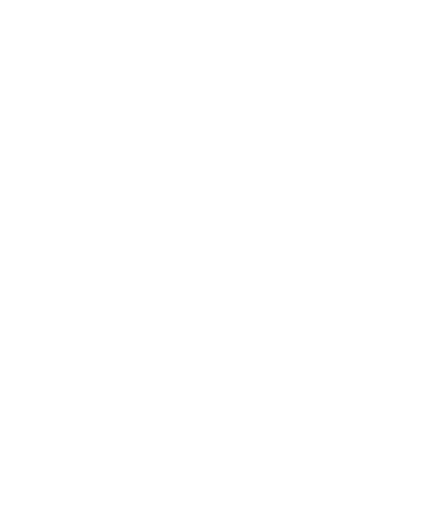 EGIR logo blanc